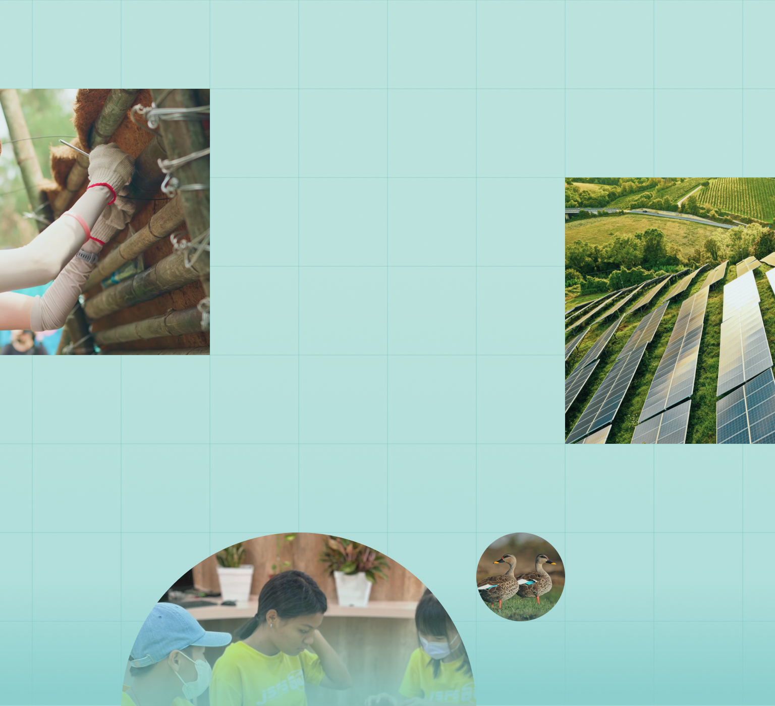 Making Sustainability a Part of Every Day Mb Images